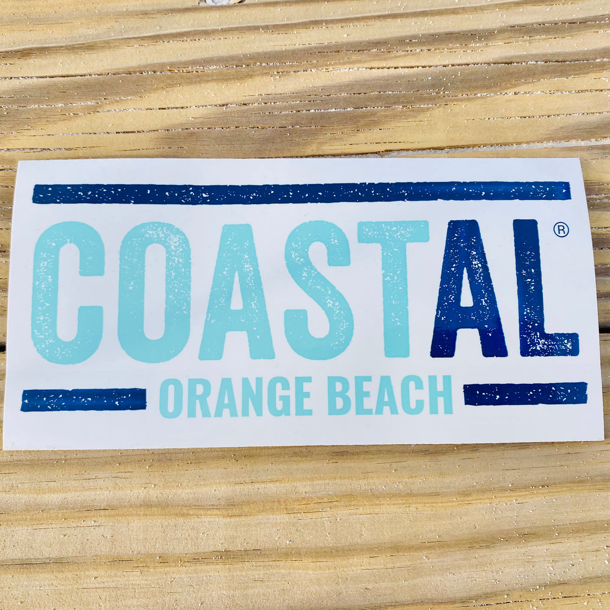 Coastal Large Sticker – Coastal Store